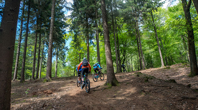 Klimmen en dalen-mountainbikeclinic